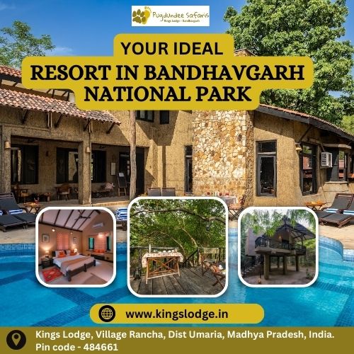 Your Ideal Resort In Bandhavgarh National Park